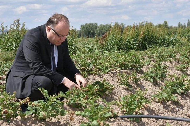 Vali Tutulmaz, don vuran ekin yerlerini ziyaret etti G2