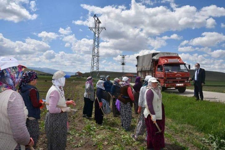 Vali Tutulmaz, don vuran ekin yerlerini ziyaret etti G3