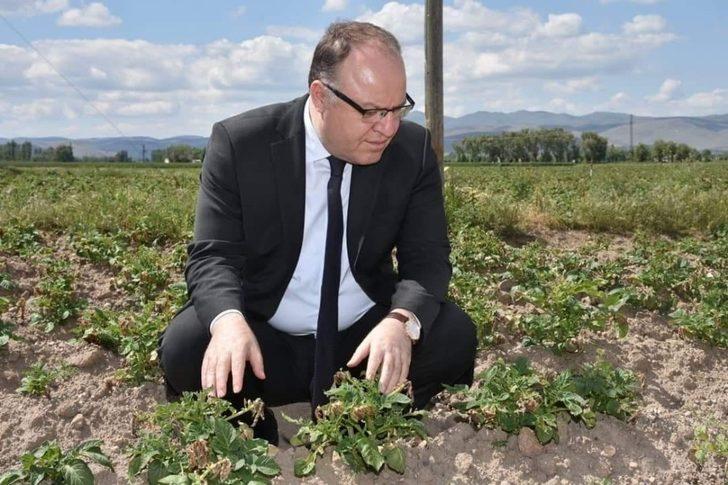 Vali Tutulmaz, don vuran ekin yerlerini ziyaret etti G4