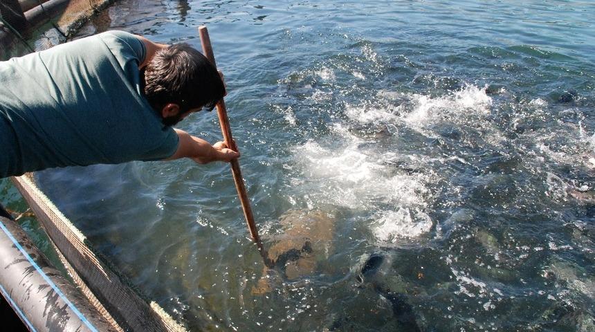 T&uuml;rkiye&rsquo;de su &uuml;r&uuml;nleri &uuml;retimi 2019 yılında y&uuml;zde 33,1 arttı