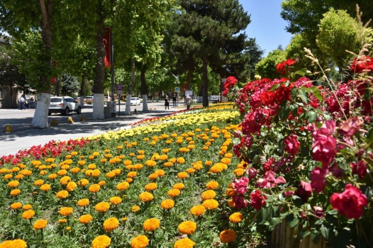 B&uuml;y&uuml;kşehir Belediyesi&rsquo;nden 150 bin &ccedil;i&ccedil;ek