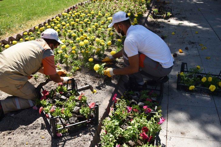 Büyükşehir Belediyesi’nden 150 bin çiçek G4