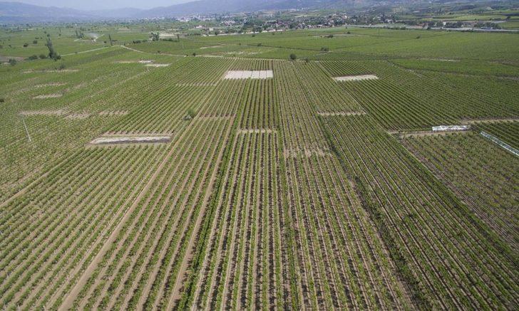 DSİ, Manisa’da sulama hazırlıklarına başladı G2