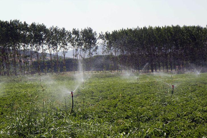 DSİ, Manisa’da sulama hazırlıklarına başladı G4