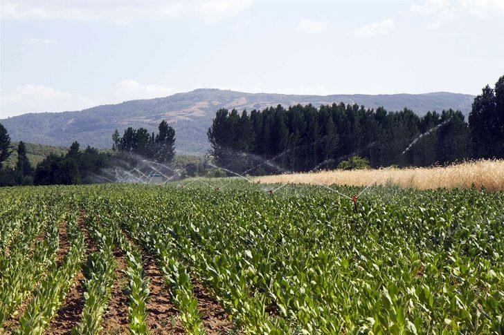 DSİ, Manisa’da sulama hazırlıklarına başladı G5