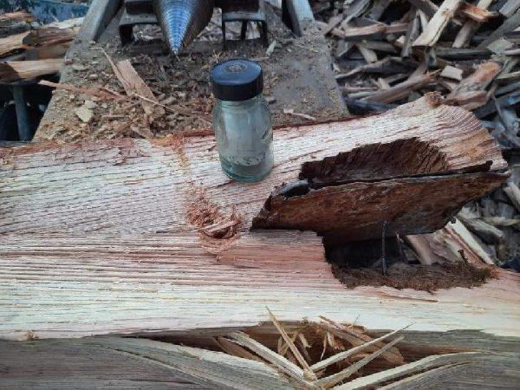 Şaşırtan olay! Odunun içinden mektup çıktı G1