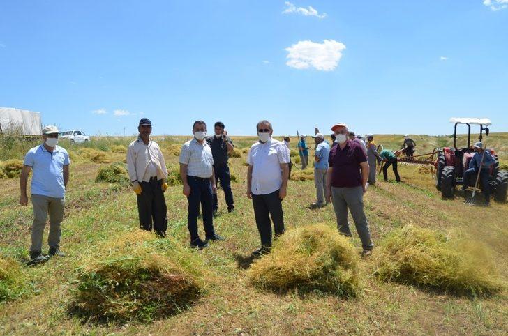 Siirt’te mercimek hasadına başlandı G3