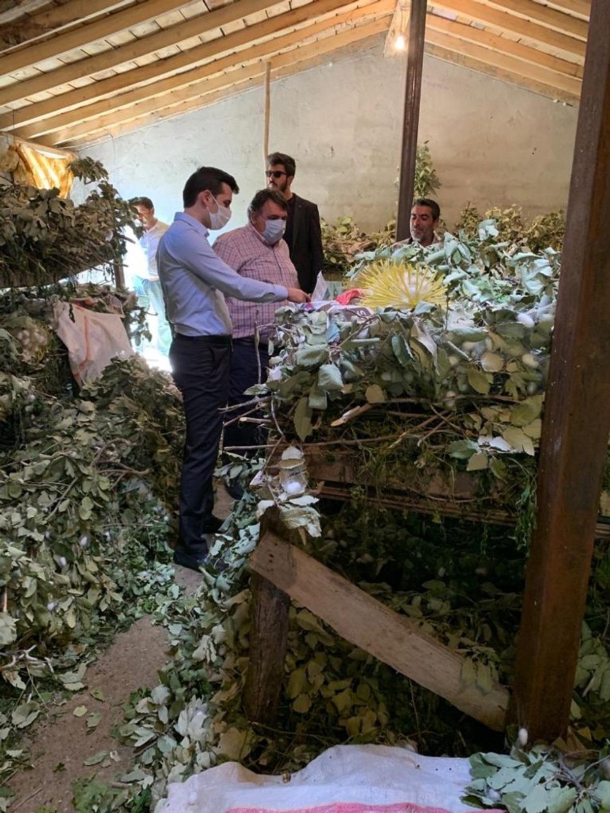 Kaymakam G&ouml;zlet ipek b&ouml;ceği &uuml;reticilerini ziyaret etti