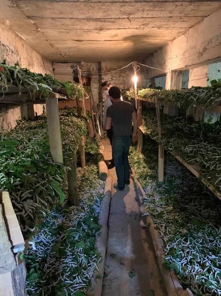 Kaymakam Gözlet ipek böceği üreticilerini ziyaret etti G2