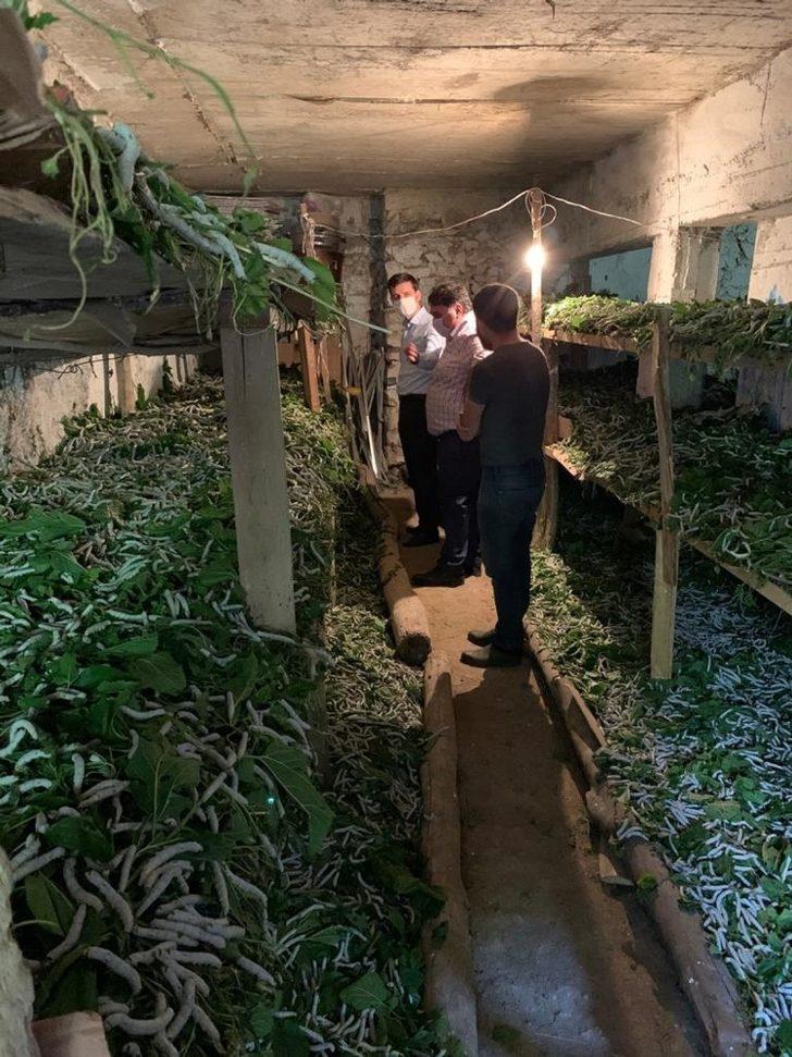 Kaymakam Gözlet ipek böceği üreticilerini ziyaret etti G3