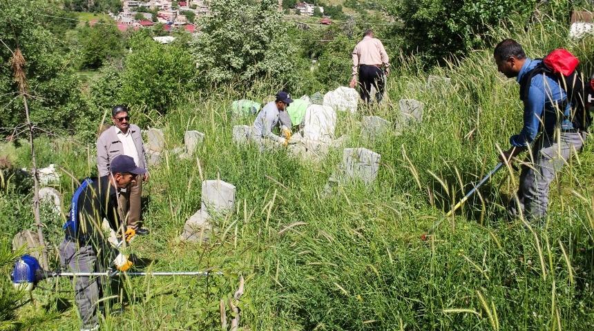 Bitlis Belediyesi mezarlıkları temizliyor
