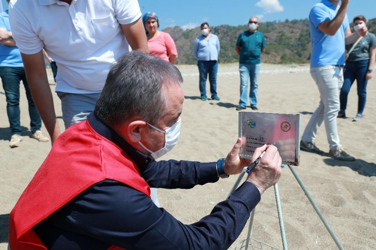 Başkan B&ouml;cek D&uuml;nya &Ccedil;evre G&uuml;n&uuml;&rsquo;nde deniz kaplumbağalarının yuvalama alanını koruma altına aldı