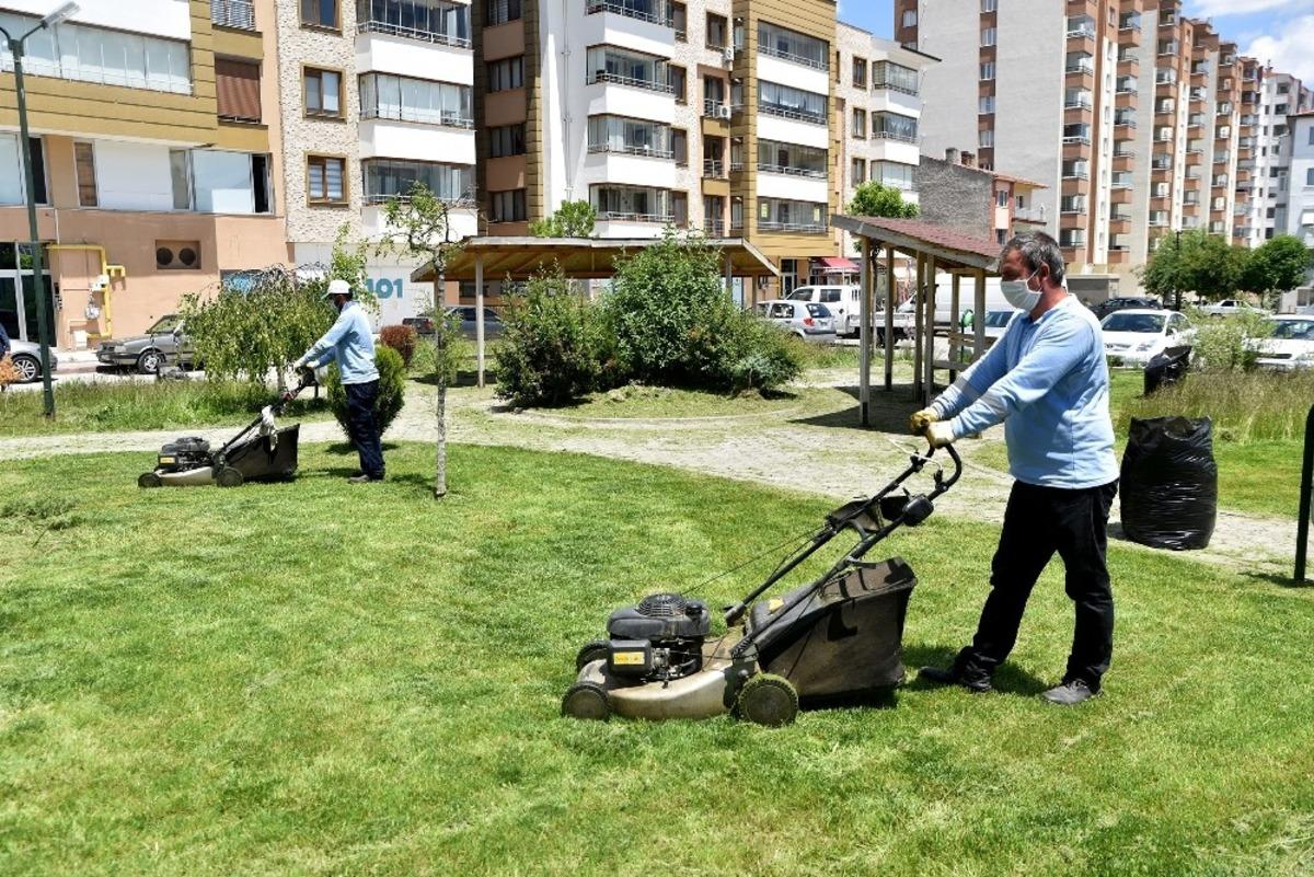 Parklarda &ccedil;im bi&ccedil;me &ccedil;alışması