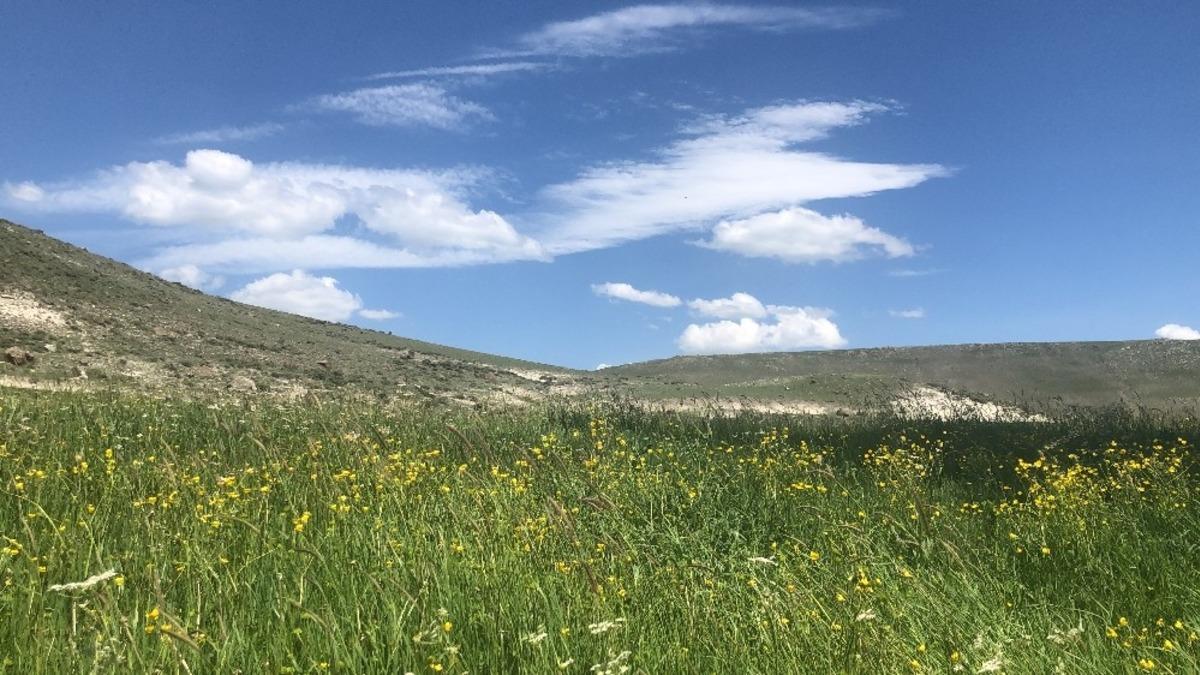 Doğa canlandı! Kars'ta mest eden manzara