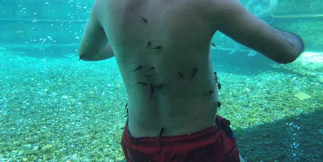 A&ccedil;ıldığını duyan oraya gidiyor! 'Yurt dışından da yoğun talep var'