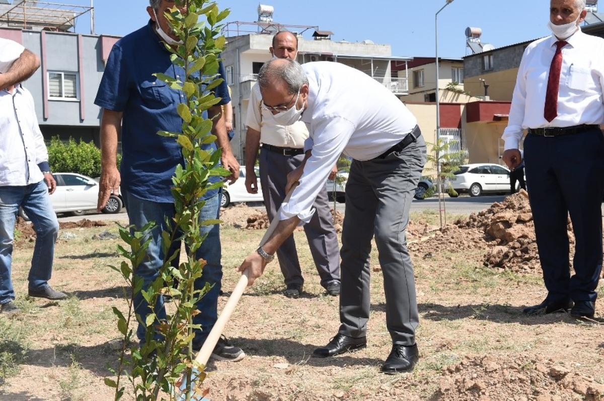 Tarsus&rsquo;ta koruluğa fidan dikildi