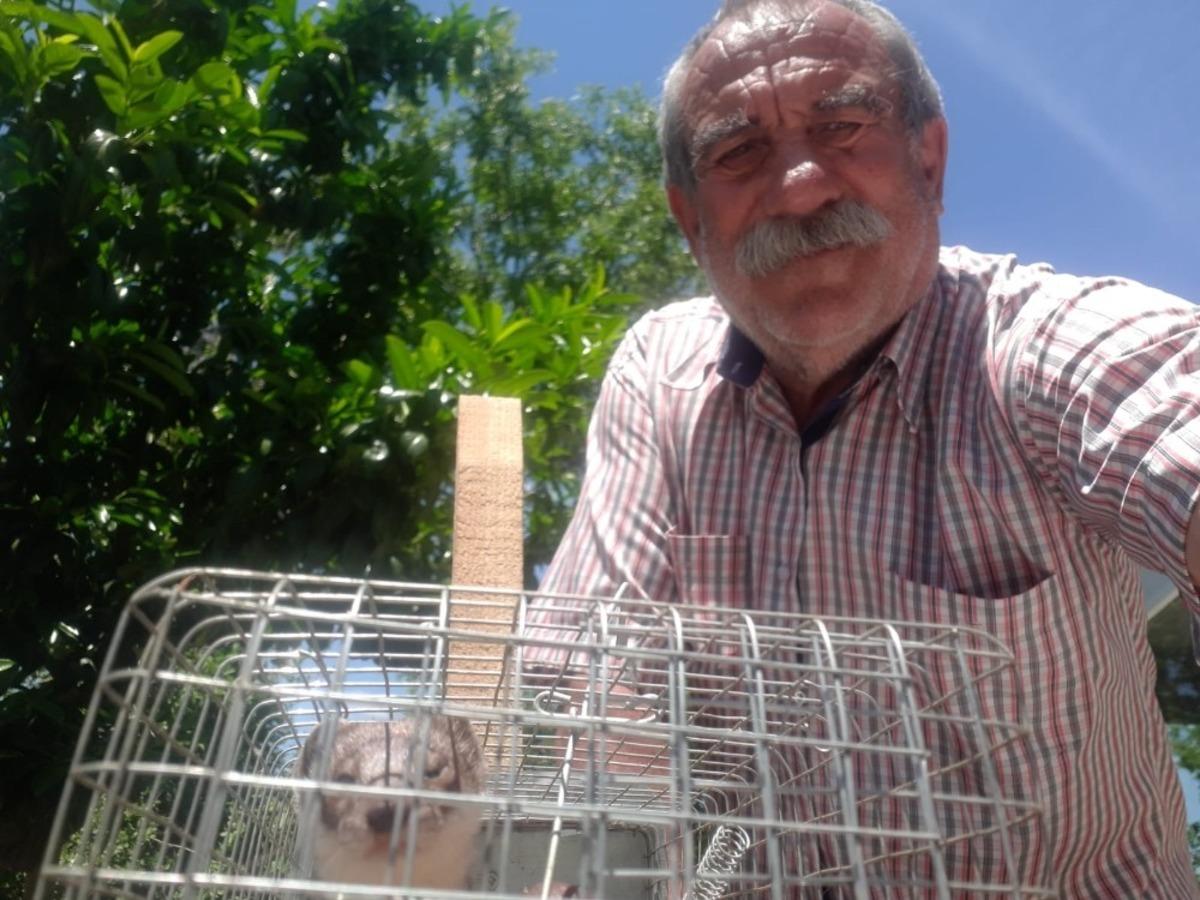 &Ouml;nce yakaladı, sonra doğaya saldı