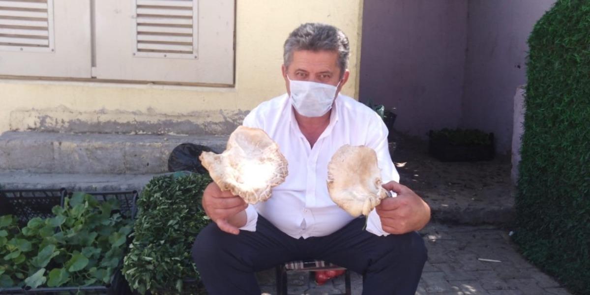 Mereto Dağında topladıkları mantarları satarak ge&ccedil;imini sağlıyor