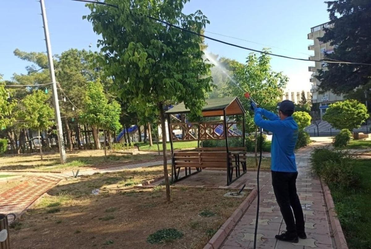 Mardin B&uuml;y&uuml;kşehir Belediyesinden haşereye karşı m&uuml;cadele