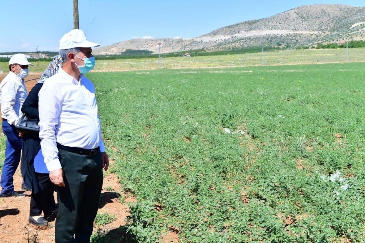 Yeşilyurt&rsquo;ta tarımsal &uuml;retim ve Ar-Ge sahası kuruldu