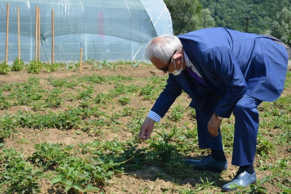 Kdz. Ereğli Belediyesi 12 &ccedil;eşit &uuml;r&uuml;nde ata tohumu &uuml;retiyor