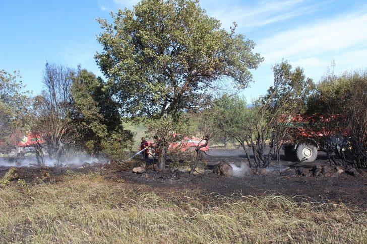 Bayramiç’te tarla yangını G3
