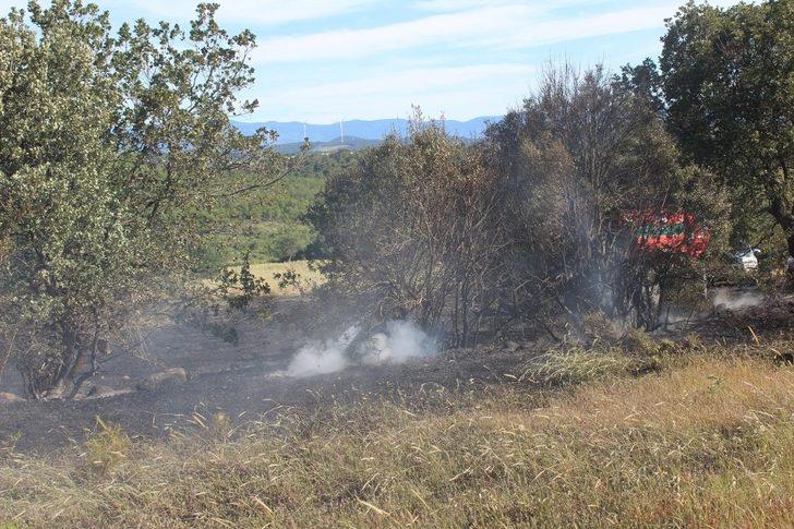 Bayramiç’te tarla yangını G4