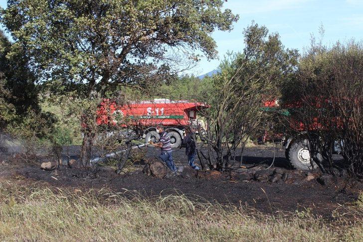 Bayramiç’te tarla yangını G5