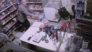 Bakkala giren dana güvenlik kamerası tarafından görüntülendi