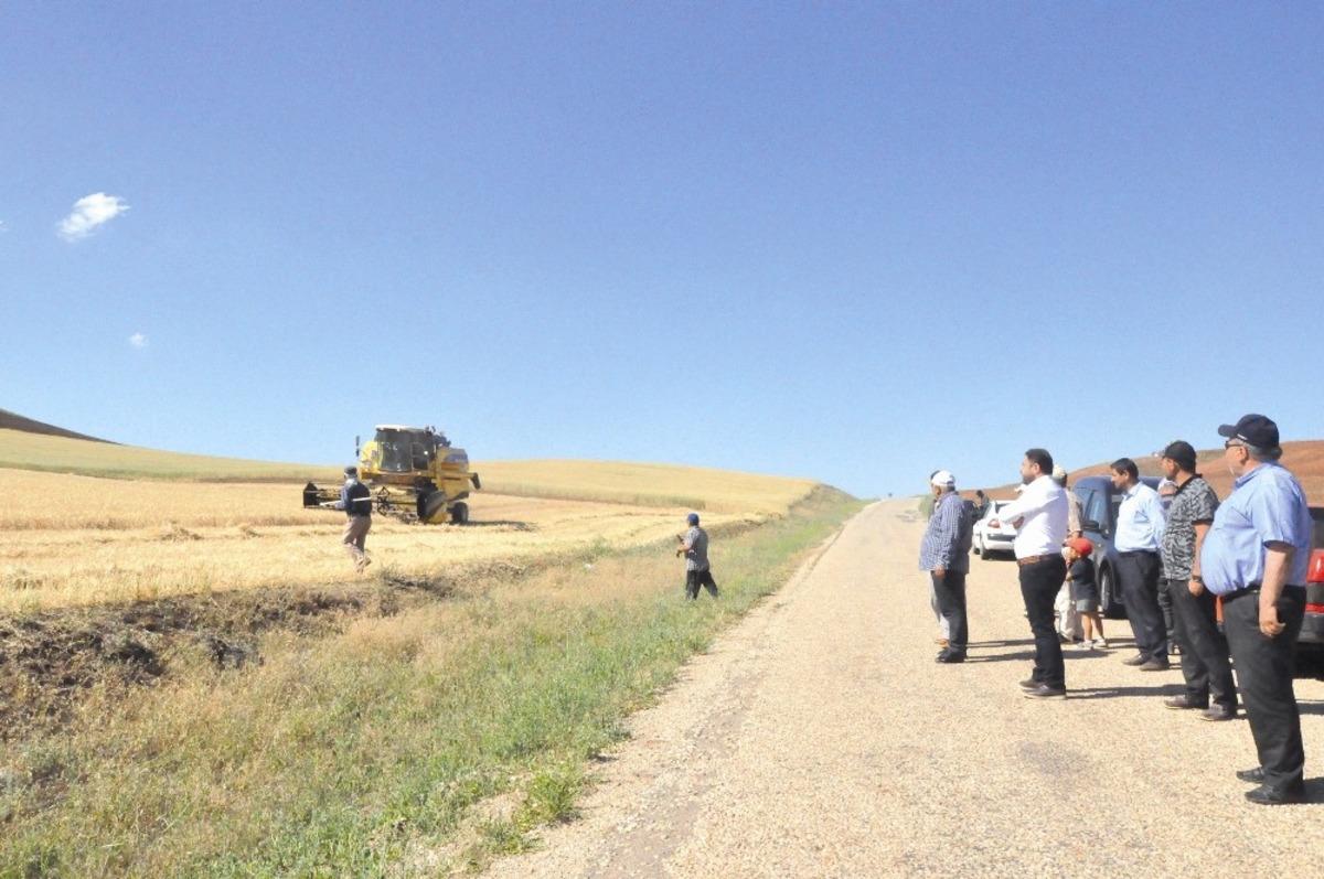 Sungurlu&rsquo;da ilk arpa hasadı yapıldı