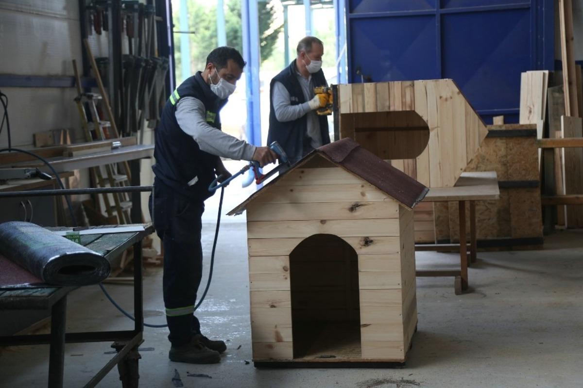 Odunpazarı Belediyesi hem tasarruf ediyor hem de sevimli patileri evsiz bırakmıyor