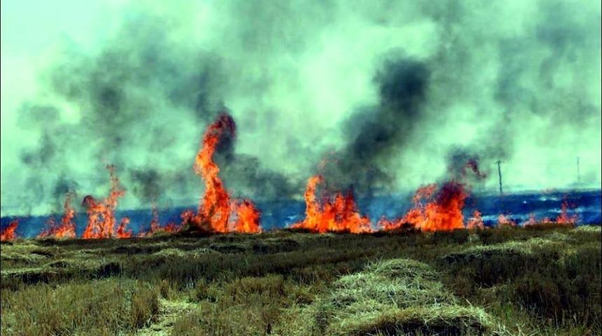 Anız yakanlara her dekar i&ccedil;in 73 lira para cezası