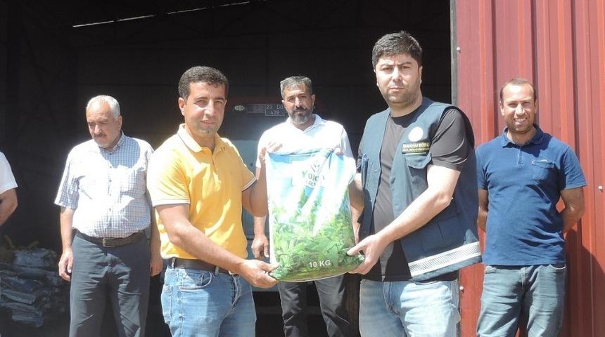 Bing&ouml;l&rsquo;de &ccedil;ift&ccedil;ilere 2 ton yonca tohumu dağıtıldı