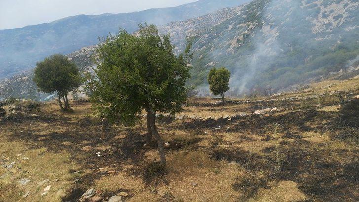 Bozdoğan’da makilik alanda yangın G2