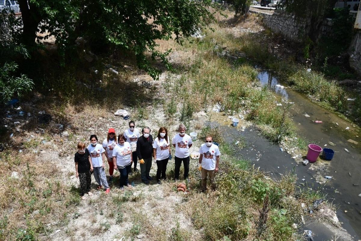 S&ouml;keli Hayvanseverlerden, S&ouml;ke &Ccedil;ayında Kaplumbağa Harekatı