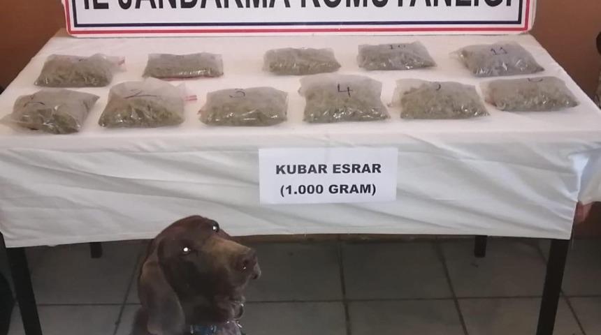 Van&rsquo;da bin gram kubar esrar ele ge&ccedil;irildi