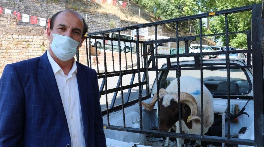 Kalenin a&ccedil;ılışına sevindi, ko&ccedil; kurban etti