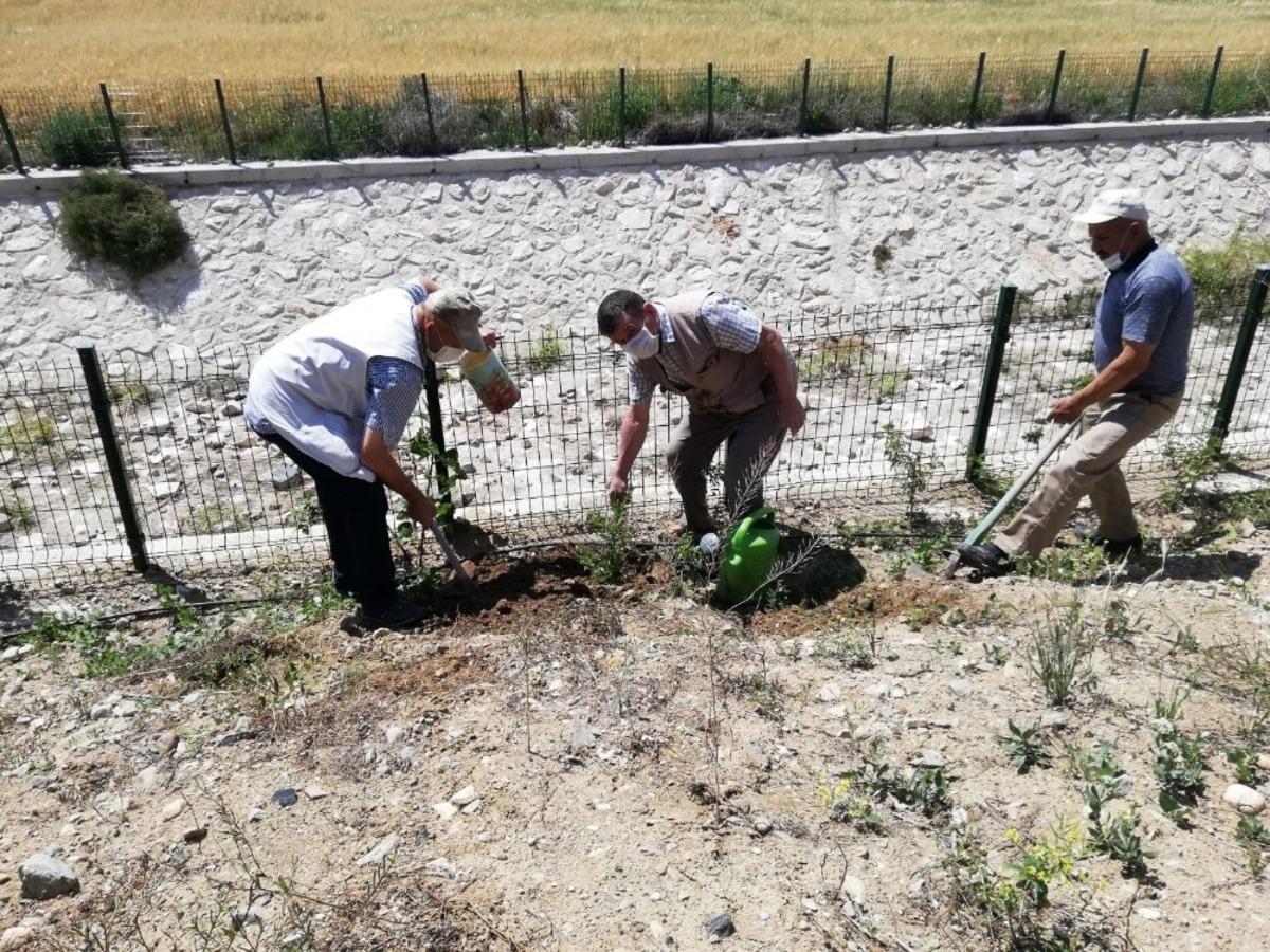 Sağlık&ccedil;ılar ve g&uuml;venlik elemanları i&ccedil;in fidan dikildi