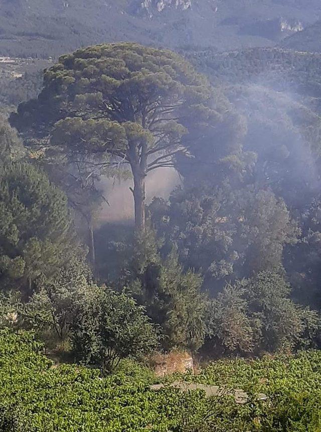 Kuşadası’ndaki orman yangını kontrol altına alındı