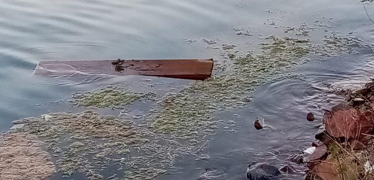 Denizden odun toplarken kalp krizi geçirdi G2