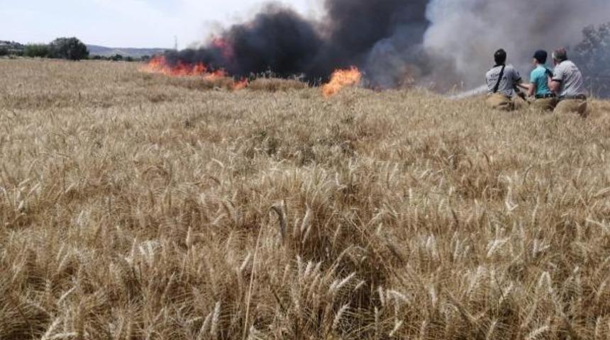 Fo&ccedil;a'da, tarlada &ccedil;ıkan yangında 40 ton 'buğday' k&uuml;l oldu