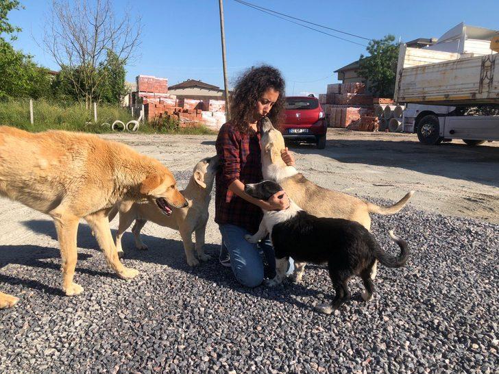 Yasemin öğretmen, maaşını sokak hayvanlarına harcıyor G1