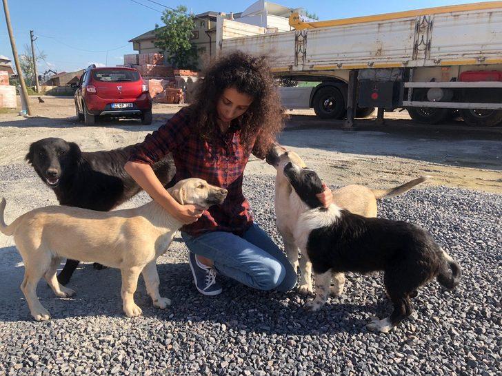 Yasemin öğretmen, maaşını sokak hayvanlarına harcıyor G3