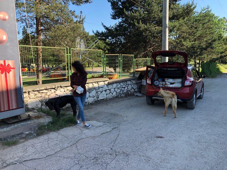 Yasemin öğretmen, maaşını sokak hayvanlarına harcıyor G4