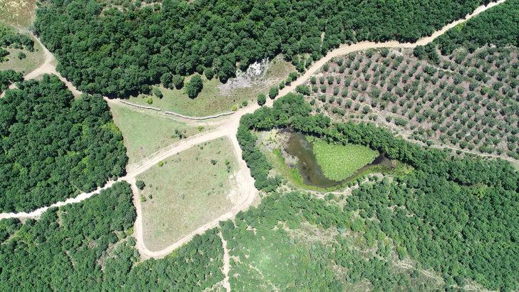 Nilüfer Gölü'nde açan beyaz renkli çiçekleri koparmanın cezası 73 bin TL G5