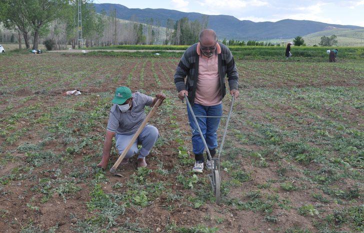 K�r�m Kongo Kanamal� Ate�i vakalar� T�rkiye'de h�zla art�yor!