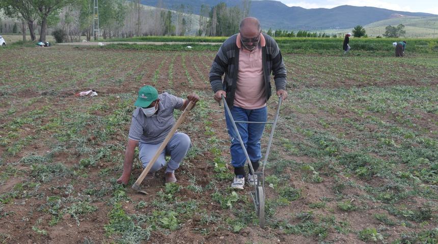 Kırım Kongo Kanamalı Ateşi vakaları Türkiye'de hızla artıyor!