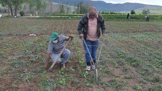 Kırım Kongo Kanamalı Ateşi vakaları Türkiye'de hızla artıyor!