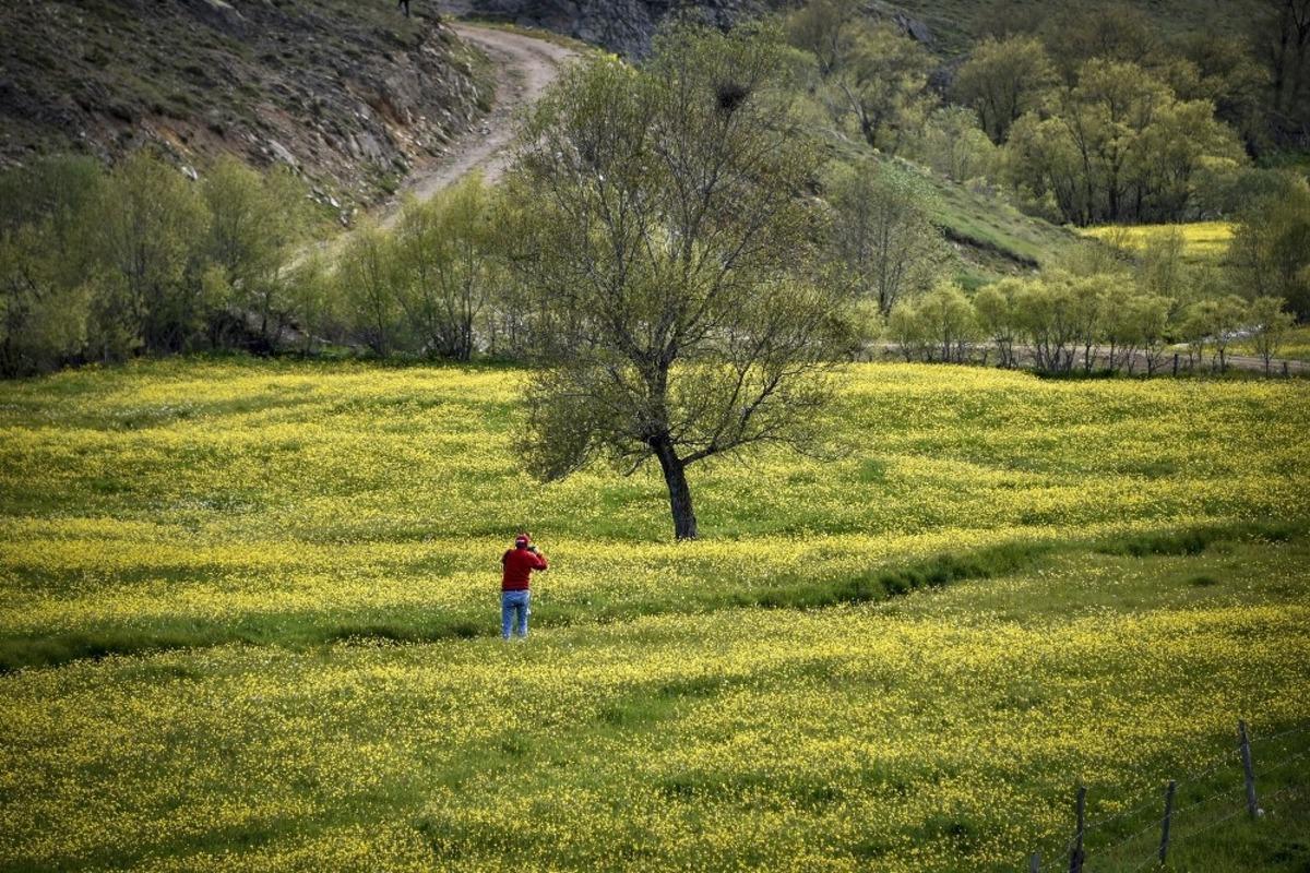 Bu manzara yılda sadece 15 g&uuml;n g&ouml;r&uuml;l&uuml;yor