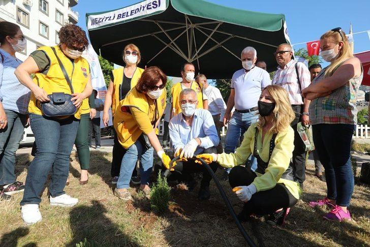 Mezitli’de Çevre Haftası’nda fidan dikildi G3